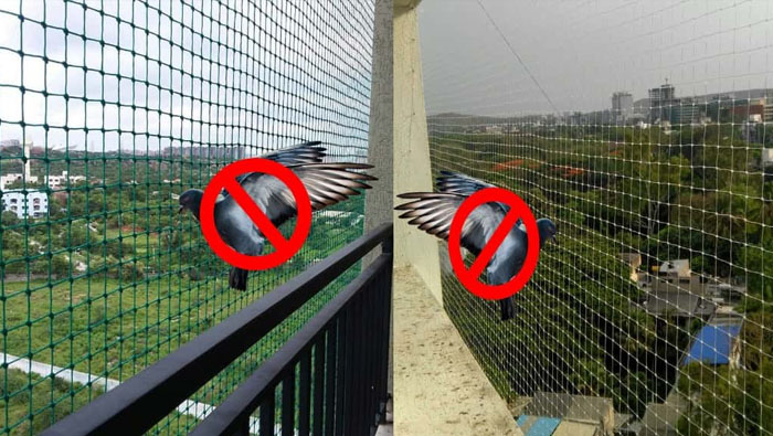 pigeon safety nets in hyderabad